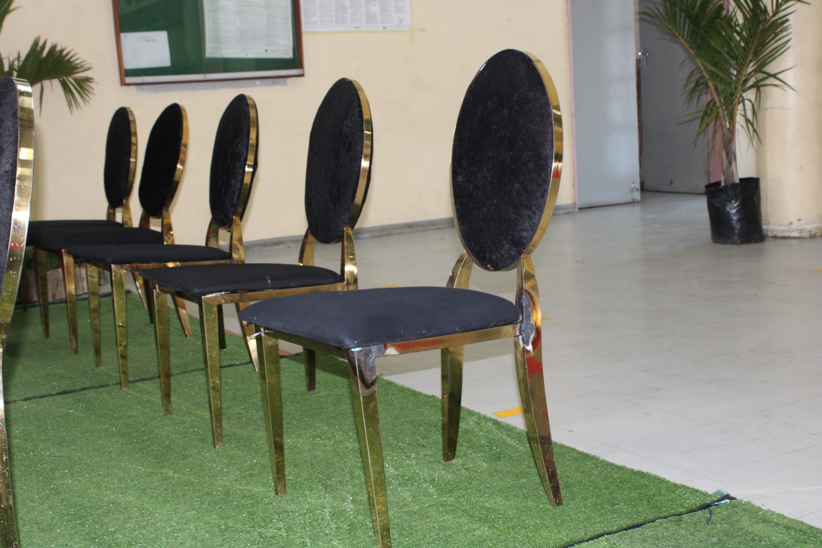 WhatsApp Image 2025-08-05 at 13.30.28